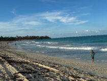 Beach and vegetation at Playa Bávaro, Punta Cana, in 2023