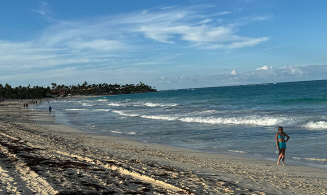 Beach and vegetation at Playa Bávaro, Punta Cana, in 2023
