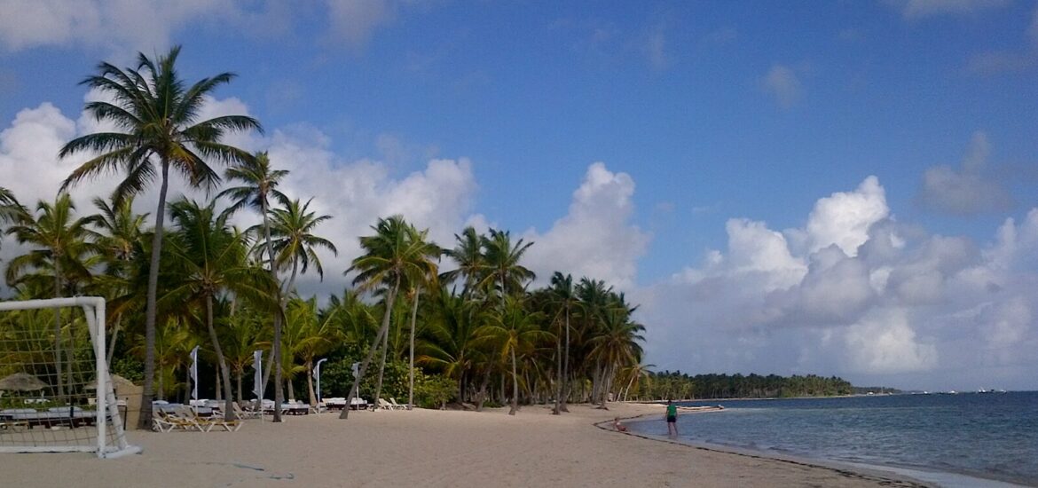Palm-lined beach in Punta Cana