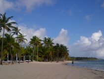 Palm-lined beach in Punta Cana