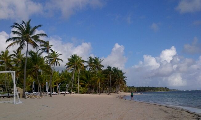 Palm-lined beach in Punta Cana
