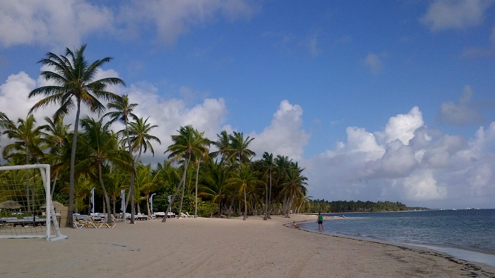 Palm-lined beach in Punta Cana