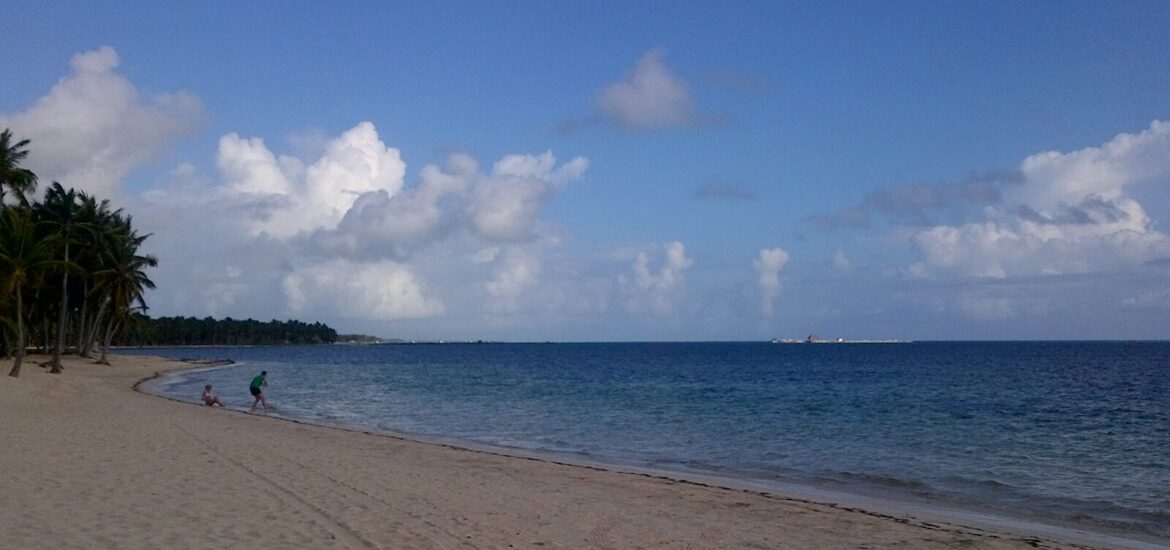Coastline and palms on a Punta Cana beach