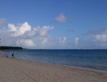Coastline and palms on a Punta Cana beach