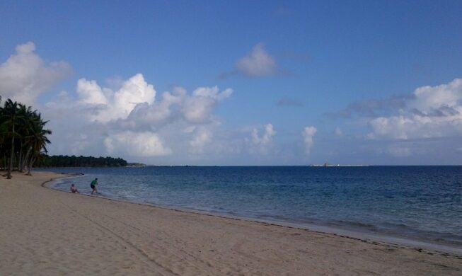 Coastline and palms on a Punta Cana beach