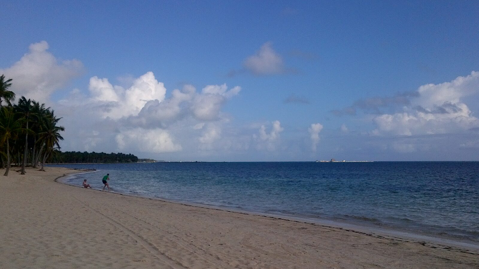 Coastline and palms on a Punta Cana beach